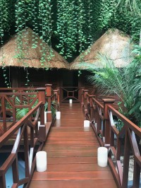 Paradisus Cancún