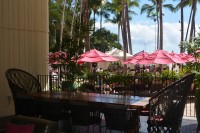 Hawaii Tourism Destination Wedding FAM - Waikiki Beach, Feb. 2018